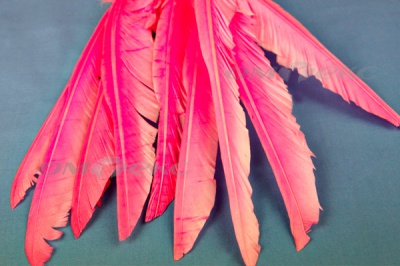 Декоративный Пучок из перьев, перо 25см/розовый - купить в Шадринске. Цена: 14.40 руб.