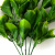Трава искусственная -1, шт (эвкалипт лист 32 см/8 см)				 - купить в Шадринске. Цена: 169.93 руб.