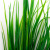Трава искусственная -2, шт (осока 41см/8 см)				 - купить в Шадринске. Цена: 104.57 руб.