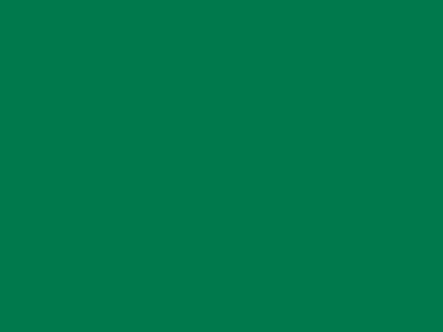85 см № 258 яр. зеленый спираль (G) сорт-2 - купить в Шадринске. Цена: 16.97 руб.