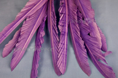 Декоративный Пучок из перьев, перо 25см/фиолетовый - купить в Шадринске. Цена: 12.19 руб.