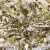 Трикотажное полотно, Сетка с пайетками, шир.130 см, #315, цв.-белый/золото - купить в Шадринске. Цена 693.39 руб.