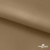 Ткань подкладочная Таффета 17-1327, антист., 54 гр/м2, шир.150см, цвет св.коричневый - купить в Шадринске. Цена 65.53 руб.