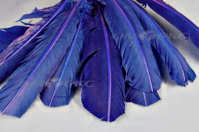 Декоративный Пучок из перьев, перо 23см/синий - купить в Шадринске. Цена: 12.34 руб.