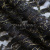 Кружевное полотно XD LACE 1-4, 80 гр/м2, шир.150см, цвет чёрный - купить в Шадринске. Цена 245.94 руб.
